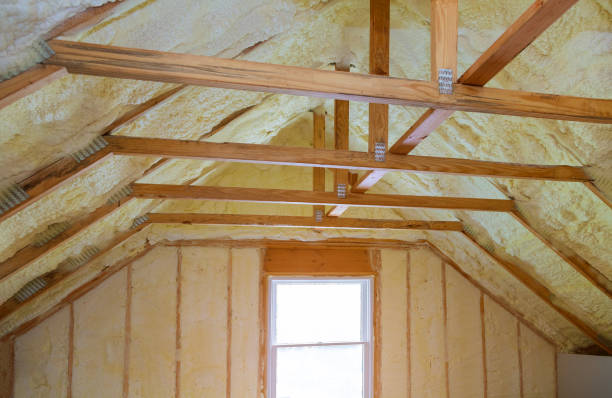 Best Insulation Maintenance and Repair in Lockport, IL